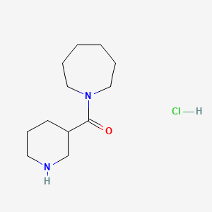 molecular formula C12H23ClN2O B1523788 1-Azepanyl(3-piperidinyl)methanone hydrochloride CAS No. 1220039-05-3