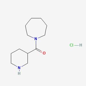 1-Azepanyl(3-piperidinyl)methanone hydrochloride