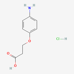 B1524066 3-(4-Aminophenoxy)propanoic acid hydrochloride CAS No. 1311313-84-4