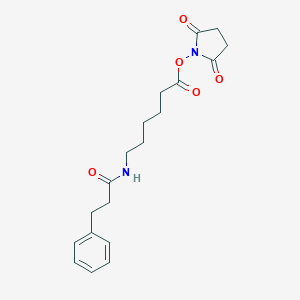 molecular formula C19H24N2O5 B015241 N-Dihydrocinnamoylaminocaproic Acid, N-Hydroxysuccinimide Ester CAS No. 334616-48-7