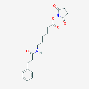 molecular formula C19H24N2O5 B015241 (2,5-Dioxopyrrolidin-1-yl) 6-(3-phenylpropanoylamino)hexanoate CAS No. 334616-48-7