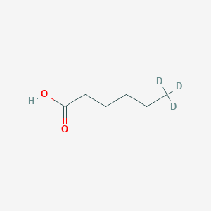 molecular formula C6H12O2 B152425 Caproic acid-6,6,6-d3 CAS No. 55320-69-9