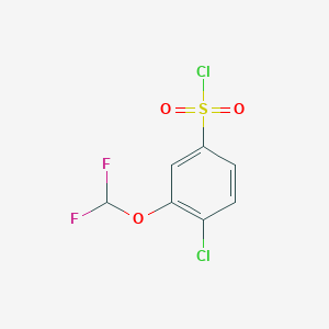 molecular formula C7H4Cl2F2O3S B1524263 4-Chloro-3-(difluoromethoxy)benzenesulfonyl chloride CAS No. 929341-75-3