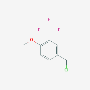 molecular formula C9H8ClF3O B1524612 4-(氯甲基)-1-甲氧基-2-(三氟甲基)苯 CAS No. 1005207-24-8