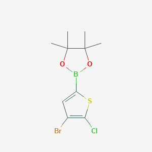 molecular formula C10H13BBrClO2S B1524772 2-(4-Bromo-5-chlorothiophen-2-YL)-4,4,5,5-tetramethyl-1,3,2-dioxaborolane CAS No. 942070-02-2