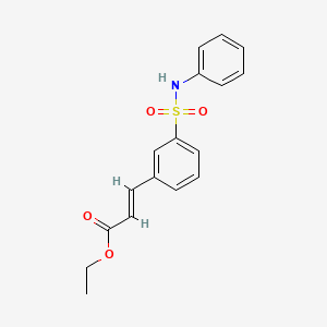 B1524813 3-(3-Phenylsulfamoyl-phenyl)-acrylic acid ethyl ester CAS No. 1137621-29-4