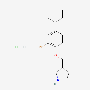 molecular formula C15H23BrClNO B1525146 3-{[2-Bromo-4-(sec-butyl)phenoxy]-methyl}pyrrolidine hydrochloride CAS No. 1219948-95-4