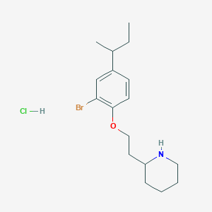 2-{2-[2-Bromo-4-(sec-butyl)phenoxy]-ethyl}piperidine hydrochloride