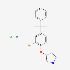 molecular formula C19H23BrClNO B1525169 3-[2-溴-4-(1-甲基-1-苯乙基)苯氧基]-吡咯烷盐酸盐 CAS No. 1220030-66-9