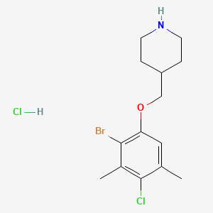 4-[(2-Bromo-4-chloro-3,5-dimethylphenoxy)methyl]-piperidine hydrochloride