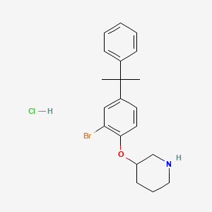molecular formula C20H25BrClNO B1525183 3-[2-Bromo-4-(1-methyl-1-phenylethyl)phenoxy]-piperidine hydrochloride CAS No. 1220030-55-6