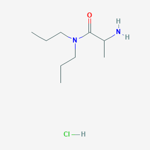molecular formula C9H21ClN2O B1525212 2-Amino-N,N-dipropylpropanamide hydrochloride CAS No. 1236266-07-1