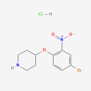 molecular formula C11H14BrClN2O3 B1525217 4-(4-Bromo-2-nitrophenoxy)piperidine hydrochloride CAS No. 1220020-95-0