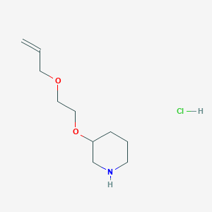 molecular formula C10H20ClNO2 B1525243 3-[2-(烯丙氧基)乙氧基]哌啶盐酸盐 CAS No. 1220033-19-1