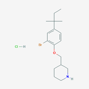 molecular formula C17H27BrClNO B1525245 3-{[2-Bromo-4-(tert-pentyl)phenoxy]-methyl}piperidine hydrochloride CAS No. 1220020-41-6