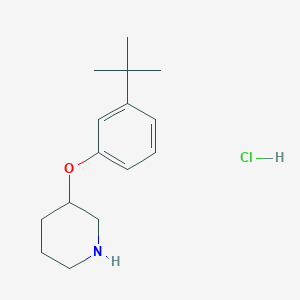molecular formula C15H24ClNO B1525259 3-[3-(Tert-butyl)phenoxy]piperidine hydrochloride CAS No. 1220027-98-4