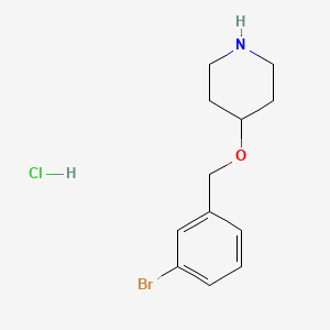 4-[(3-Bromobenzyl)oxy]piperidine hydrochloride