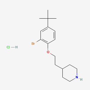 molecular formula C17H27BrClNO B1525290 4-{2-[2-Bromo-4-(tert-butyl)phenoxy]-ethyl}piperidine hydrochloride CAS No. 1220029-64-0
