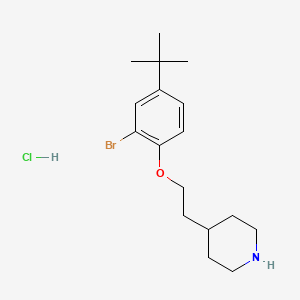 4-{2-[2-Bromo-4-(tert-butyl)phenoxy]-ethyl}piperidine hydrochloride