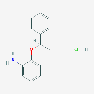molecular formula C14H16ClNO B1525475 2-(1-Phenylethoxy)aniline hydrochloride CAS No. 1311317-13-1