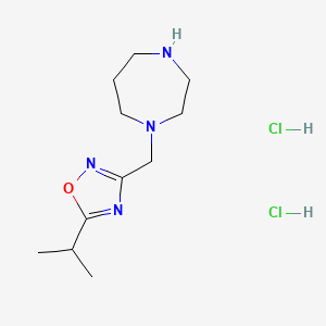molecular formula C11H22Cl2N4O B1525512 1-{[5-(Propan-2-yl)-1,2,4-oxadiazol-3-yl]methyl}-1,4-diazepane dihydrochloride CAS No. 1315368-78-5