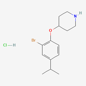 4-(2-Bromo-4-isopropylphenoxy)piperidine hydrochloride