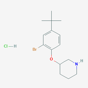molecular formula C15H23BrClNO B1525618 3-(2-Bromo-4-(tert-butyl)phenoxy)piperidine hydrochloride CAS No. 1220019-29-3