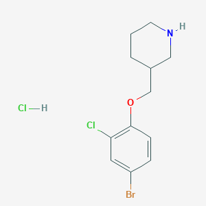 molecular formula C12H16BrCl2NO B1525620 3-[(4-Bromo-2-chlorophenoxy)methyl]piperidine hydrochloride CAS No. 1220033-41-9