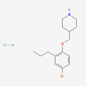 molecular formula C15H23BrClNO B1525628 4-[(4-Bromo-2-propylphenoxy)methyl]piperidine hydrochloride CAS No. 1220035-23-3
