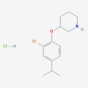 molecular formula C14H21BrClNO B1525629 3-(2-Bromo-4-isopropylphenoxy)piperidine hydrochloride CAS No. 1220019-15-7