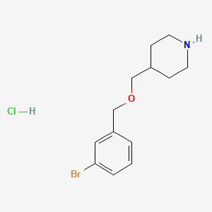 molecular formula C13H19BrClNO B1525668 4-{[(3-Bromobenzyl)oxy]methyl}piperidine hydrochloride CAS No. 1220034-82-1