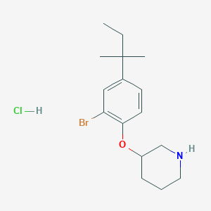2-Bromo-4-(tert-pentyl)phenyl 3-piperidinyl ether hydrochloride