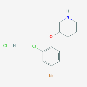 3-(4-Bromo-2-chlorophenoxy)piperidine hydrochloride
