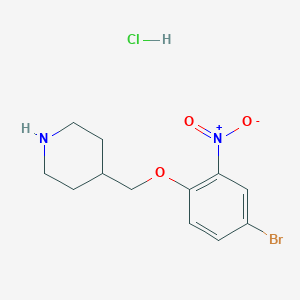 4-[(4-Bromo-2-nitrophenoxy)methyl]piperidine hydrochloride