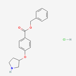 Benzyl 4-(3-pyrrolidinyloxy)benzoate hydrochloride
