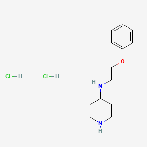 molecular formula C13H22Cl2N2O B1525841 N-(2-苯氧基乙基)哌啶-4-胺二盐酸盐 CAS No. 1334147-70-4