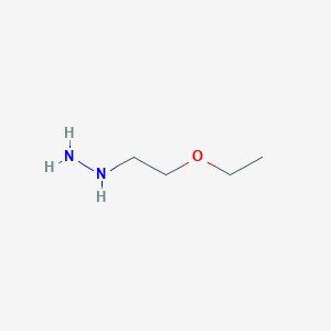 molecular formula C4H12N2O B15259460 (2-Ethoxyethyl)hydrazine 