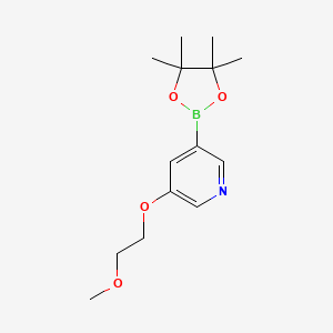 3-(2-Methoxyethoxy)-5-(4,4,5,5-tetramethyl-1,3,2-dioxaborolan-2-yl)pyridine