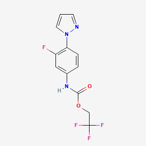 molecular formula C12H9F4N3O2 B1526093 2,2,2-三氟乙基 N-[3-氟-4-(1H-吡唑-1-基)苯基]氨基甲酸酯 CAS No. 1354959-05-9