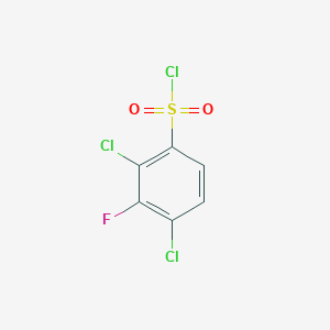molecular formula C6H2Cl3FO2S B1526265 2,4-二氯-3-氟苯磺酰氯 CAS No. 1349718-19-9