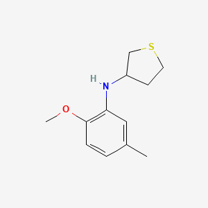 molecular formula C12H17NOS B15264300 N-(2-methoxy-5-methylphenyl)thiolan-3-amine 