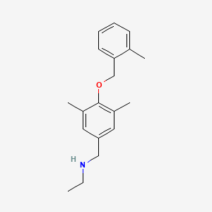 molecular formula C19H25NO B15266258 ({3,5-Dimethyl-4-[(2-methylphenyl)methoxy]phenyl}methyl)(ethyl)amine 