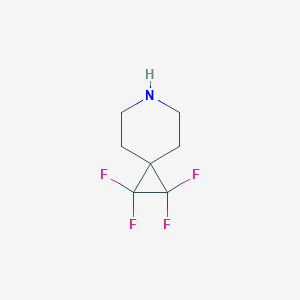molecular formula C7H9F4N B15266314 1,1,2,2-Tetrafluoro-6-azaspiro[2.5]octane 