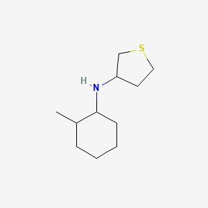 molecular formula C11H21NS B15266639 N-(2-methylcyclohexyl)thiolan-3-amine CAS No. 1217776-54-9