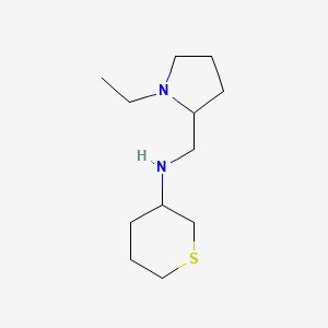 molecular formula C12H24N2S B15268765 N-[(1-ethylpyrrolidin-2-yl)methyl]thian-3-amine 