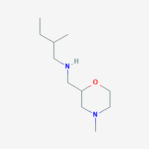 molecular formula C11H24N2O B15269496 (2-Methylbutyl)[(4-methylmorpholin-2-yl)methyl]amine 