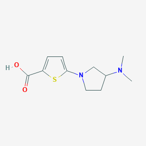 molecular formula C11H16N2O2S B15270760 5-[3-(Dimethylamino)pyrrolidin-1-yl]thiophene-2-carboxylic acid 