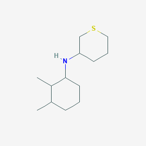 molecular formula C13H25NS B15271044 N-(2,3-dimethylcyclohexyl)thian-3-amine 