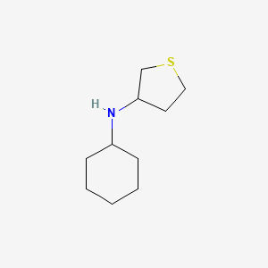 molecular formula C10H19NS B15271167 N-cyclohexylthiolan-3-amine 