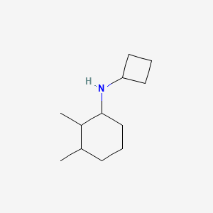 molecular formula C12H23N B15271513 N-cyclobutyl-2,3-dimethylcyclohexan-1-amine 